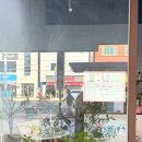 유포리아플라워
