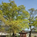 덕과면 덕동마을 이미지