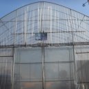 고령군 농업기술센터 이미지