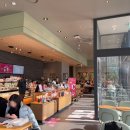 바로약품(주) | 주차 편하고 한적한 '스타벅스 과천 지식정보타운점'(안국약품 본사) 설연휴 방문후기(신상디저트, 굿즈)