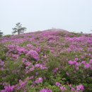 일림산장 이미지