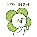 시리 초이스