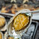 오가네전복 이미지