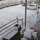 남원흑염소농장 이미지