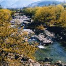 콘서트7080노래클럽 이미지