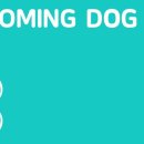 블루밍독 이미지