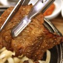 시청 소나무 이미지