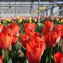 윤정 농장 이미지