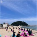 솔게스트하우스 양양서핑점 이미지