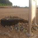 동일리 지석묘 4호 이미지