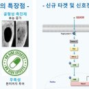큐 이미지