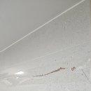 복수서로 이미지