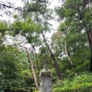 부흥골 | (특집) 레지오 마리애 Pr. 배론성지