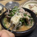창밀로 | 밀양 돼지국밥 맛집 토담돼지국밥 부모님과 방문 후기