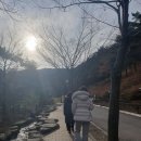 (주) 철마관광 | 강릉 가볼만한 곳 관광명소 솔향수목원 소나무 숲 산책로 추천