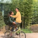 영화도장 이미지