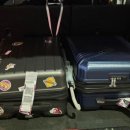 멍멍택시1 이미지