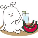 미소플라워 이미지
