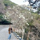 영도의 자연과 함께 일상에서의 ’탈피’ | 부산 태종대 다누비열차 소요시간 영도 필수 여행당일코스