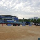 충주중앙초등학교 이미지