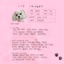 바로슬동물병원 | [#1267] 가을(양측 슬개골탈구 G3, G2)의 수술후기