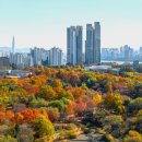 서울숲 티스토리