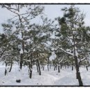 소성농장 이미지