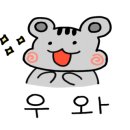 석촌드림약국 이미지