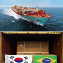 데이스타 이미지