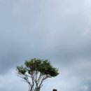 허브인휴양펜션 이미지