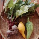 준 농장 이미지