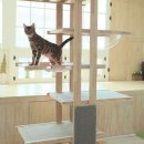 고려 수 타워 이미지