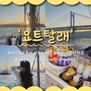 한국관광명품점 | 부산요트투어 요트탈래 솔직후기 (ft.부산여행 놀거리, 이색데이트)