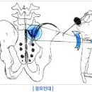 단지장골2 네이버블로그