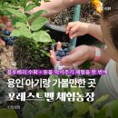 지산농장 | 용인 20개월 아기랑 갈만한 곳 포레스트벨 블루베리 농장 동물체험 후기