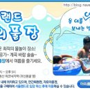 서울랜드 야외수영장 이미지