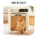 안면무풍 스트레스 없는 드라이시간 페페 드라이룸 후기