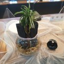 국민건강보험공단 남원지사 이미지