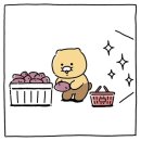 지에스더프레시주식회사지에스리테일 | 신제품 리뷰 - 해외 인기 몰이중인, 오리온 '꼬북칩 with 춘식이' @ GS FRESH (내돈내산 후기) 2609