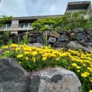 창흥동해수욕장 이미지