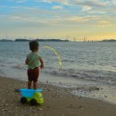 서해바다 이미지