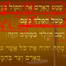원어성경 히브리어 필수문법 강좌 51-3 이미지