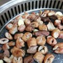 삽교할머니곱창 이미지