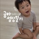 슈필어린이집 이미지