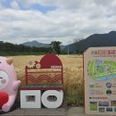 보리뜰