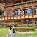 성무야외스크린 이미지