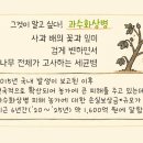 시대컨설팅