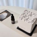 스톤 | 티슬 스톤방향제 후기 빙하 스톤 디퓨저 집들이선물 추천