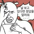 피자비토랩 이미지