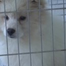 인형뽑기08 이미지